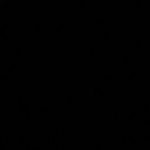 Meet your Posher, Mina